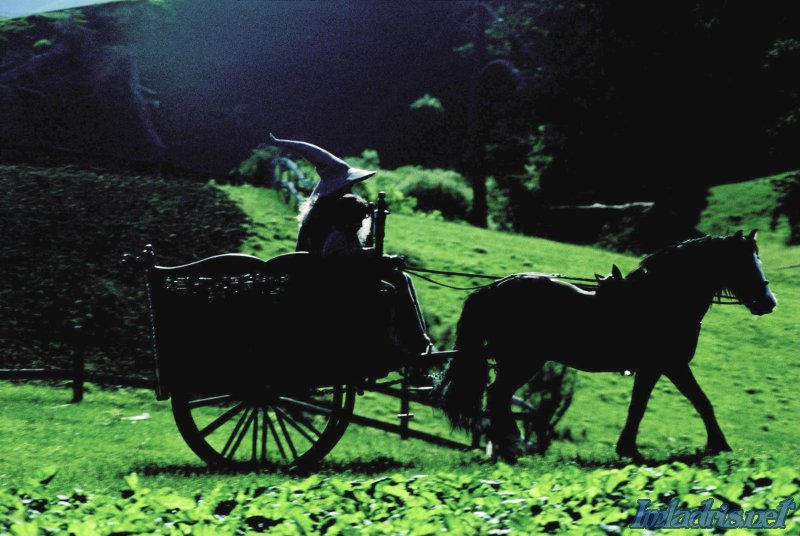 weta gandalf and frodo on cart weta gandalf and frodo on cart