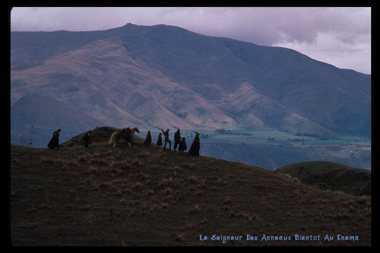 The Fellowship