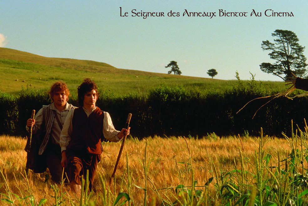 Frodo & Sam
