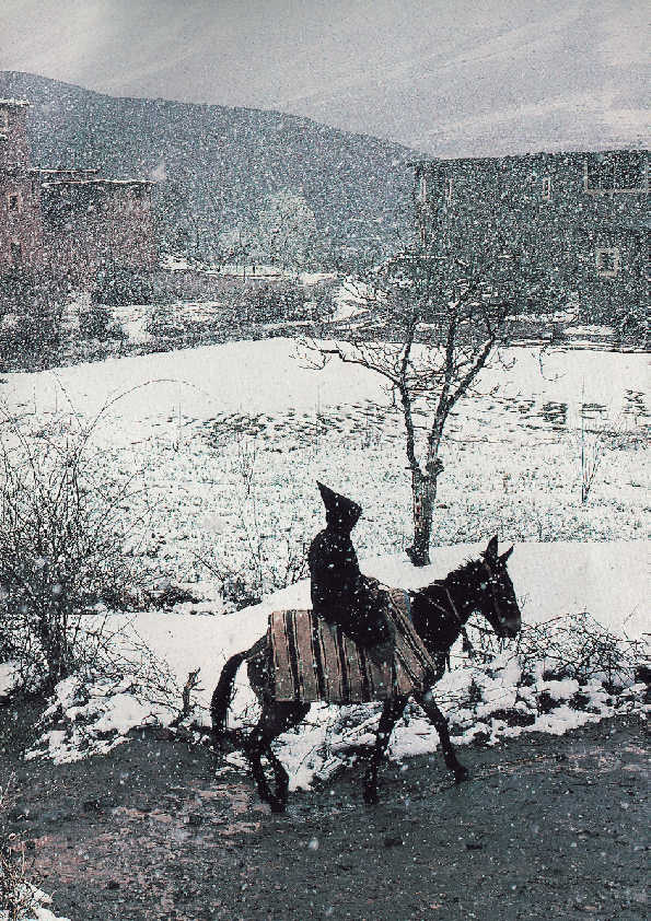 Black Rider