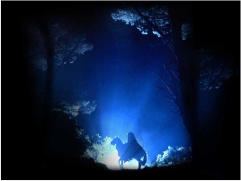 Black Rider