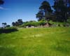 Hobbit Hole from category Movie Sets