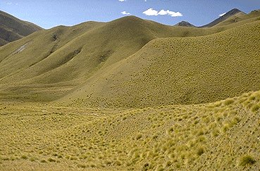 New Zealand