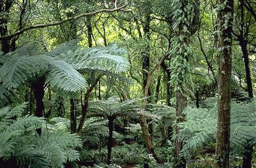 New Zealand