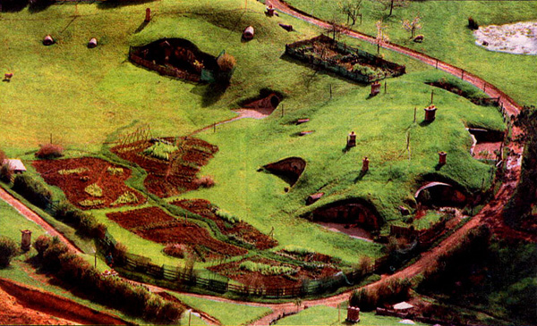 Overhead View