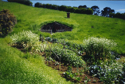 Hobbit Hole