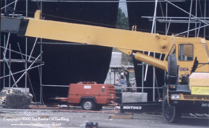 Crane Closeup