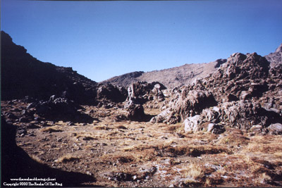 Area Photo