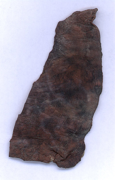 Orc Skin